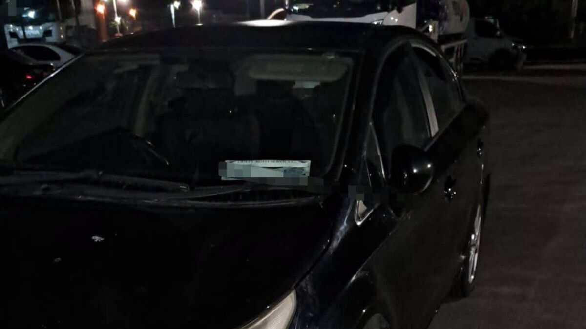 Driver claimed doll was sick baby after being caught speeding by Kildare gardaí