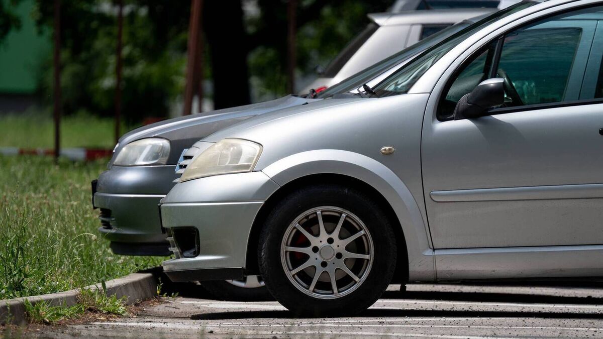 Call to turn green space into parking in Kildare rejected