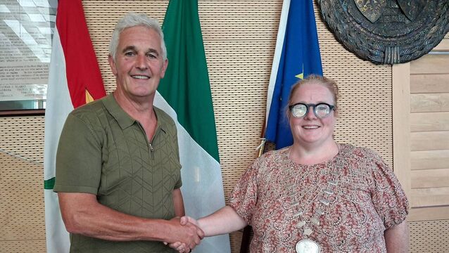 Suzanne Doyle elected Mayor in Kildare-Newbridge district