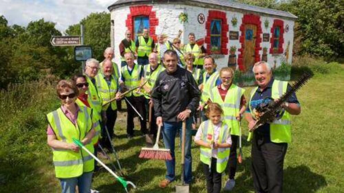Kildare Tidy Towns gets €50k in new funding