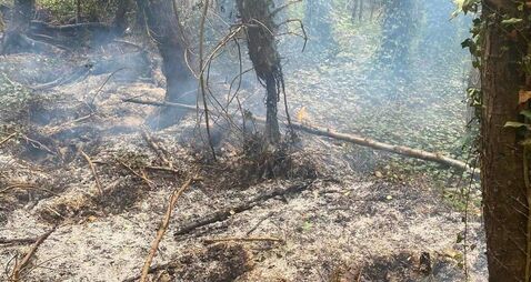 Firefighters tackle blaze beauty spot near Kildare/Laois border