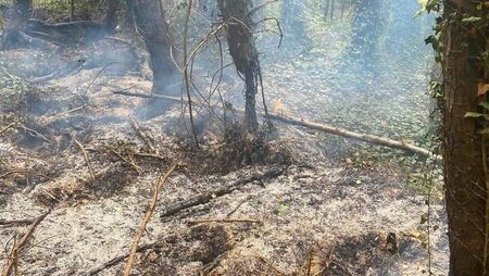 Firefighters tackle blaze beauty spot near Kildare/Laois border