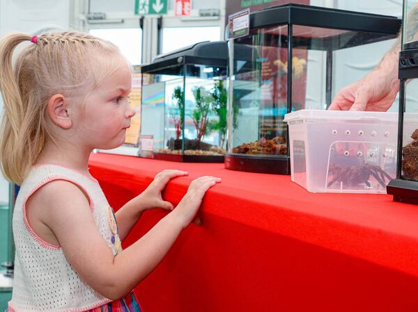 Hollie Carroll (Clonshaugh) enjoying the reptiles from The Midlands Bug and Reptile Zoo Hollie Carroll (Clonshaugh) enjoying the reptiles from The Midlands Bug and Reptile Zoo