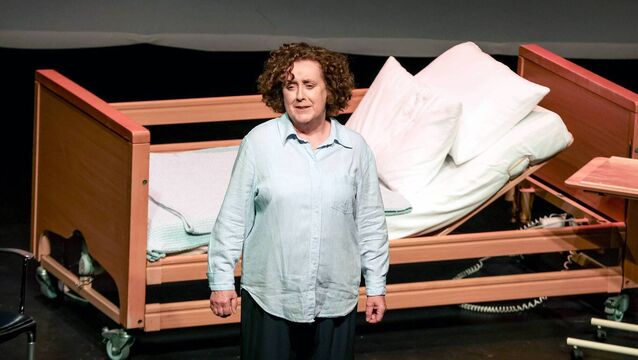 Midlands Theatre group bring acclaimed national run to a close in Kildare