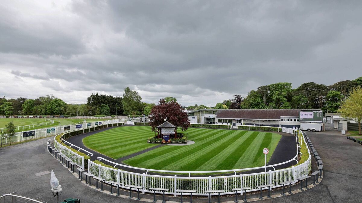 Naas Racecourse: Preview and Tips for Wednesday’s Seven-Race Meeting