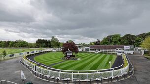 <p>The Summer Series continues at Naas Racecourse on Wednesday evening Photo: ©INPHO/Laszlo Geczo</p>