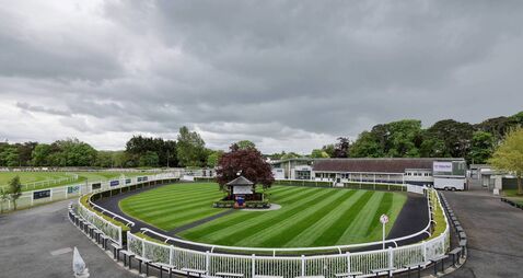 Naas Racecourse: Preview and Tips for Wednesday’s Seven-Race Meeting 