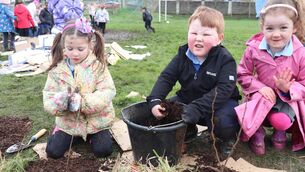 <p>Young students in St Colmcille’s National School add mulch to the new hedgerow </p>