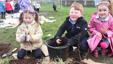 Kildare schools compete 'Project Hedgehog'
