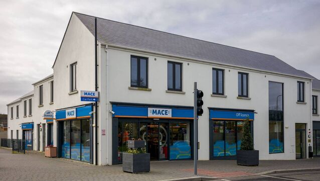Athgarvan store hosts family day