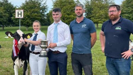 Calf Show & Field Evening hosted by Kildare Holstein Friesian Club