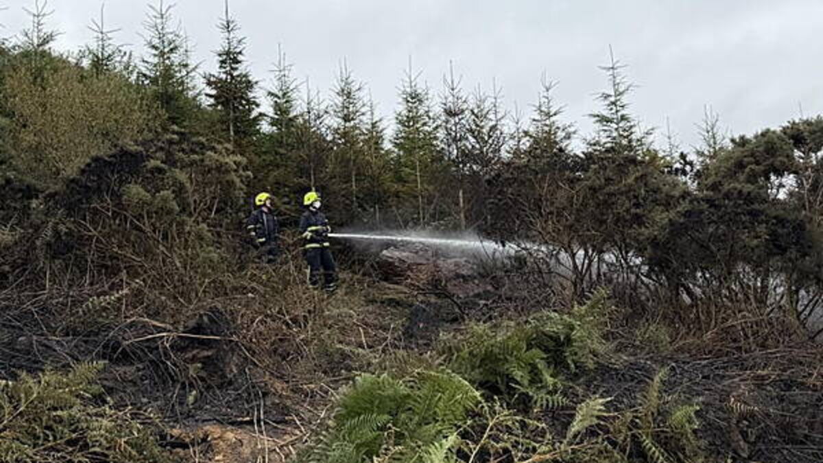 Fire services dealing with fire in Waterford's Comeragh Mountains