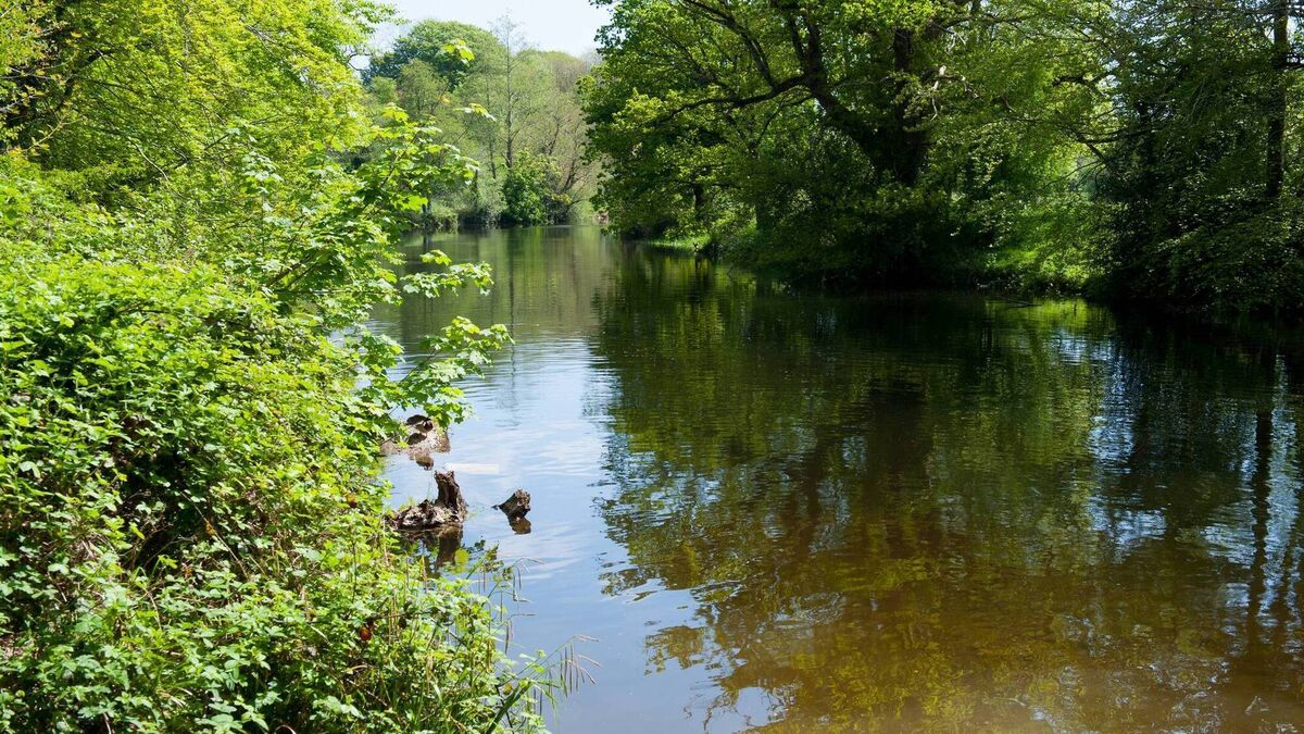 Council praised by EPA after stopping pollution into  Kildare river