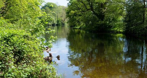 Council praised by EPA after stopping pollution into  Kildare river