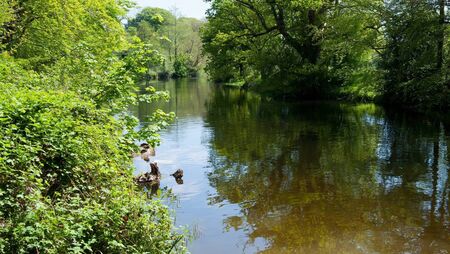 Council praised by EPA after stopping pollution into  Kildare river