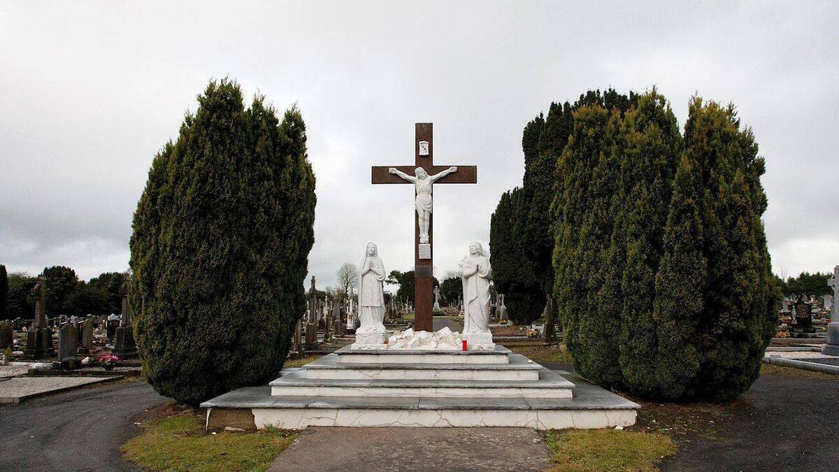  Juvenile appears in court over alleged involement in  cemetery brawl 