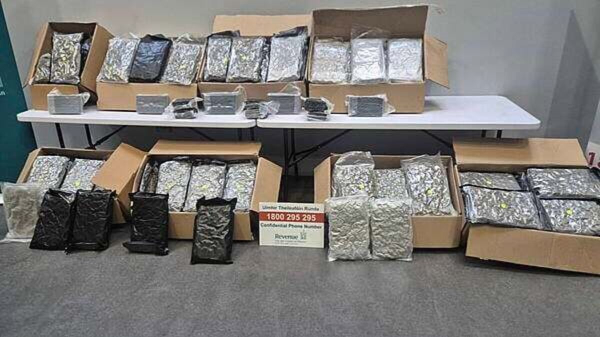 €1.95 million worth of drugs seized at Dublin Port