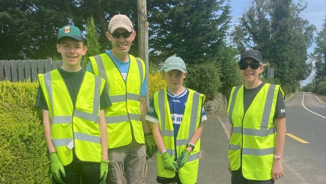 Community rallies for Kildare village clean-up