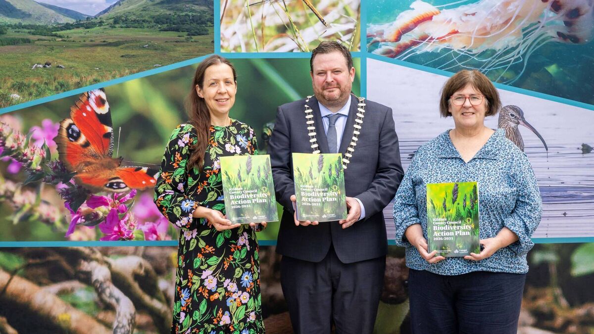Kildare biodiversity policy launched