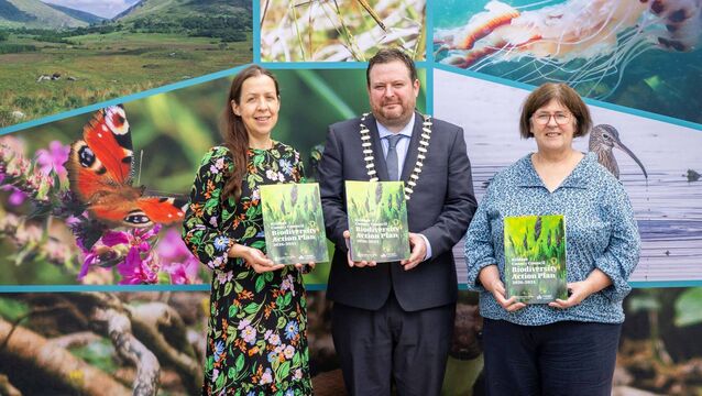 Dr Méabh Boylan, biodiversity officer of Kildare Co Council; cathaoirleach of the County of Kildare, cllr Tim Durkan; Catherine Casey, Head of Climate Change, the Heritage Council <p>Dr Méabh Boylan, biodiversity officer of Kildare Co Council; cathaoirleach of the County of Kildare, cllr Tim Durkan; Catherine Casey, Head of Climate Change, the Heritage Council</p>