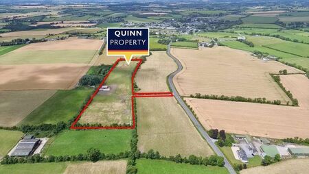 Kildare land sells for 'extraordinary amount' at auction
