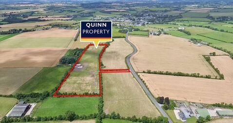Kildare land sells for 'extraordinary amount' at auction