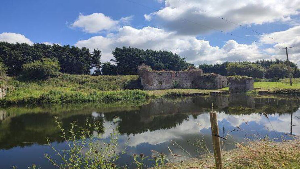 Too late to take enforcement action against suspected unauthorised Kildare bridge