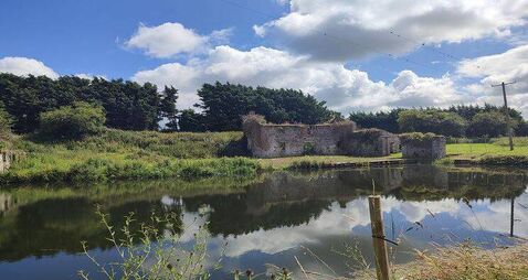 Too late to take enforcement action against suspected unauthorised Kildare bridge
