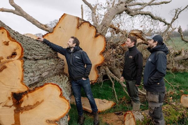 Mark Quick and Ian Leonard of Kentucky Bourbon Barrel, with Peter Cooney, centre, of Boann Distillery ashortly after the 1,000 year old oak tree was toppled by Storm Elin in 2023. Picture: Brian Connolly/Bang Bang Visual. Mark Quick and Ian Leonard of Kentucky Bourbon Barrel, with Peter Cooney, centre, of Boann Distillery ashortly after the 1,000 year old oak tree was toppled by Storm Elin in 2023. Picture: Brian Connolly/Bang Bang Visual.