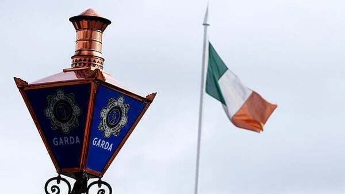 Cork-based garda awarded almost €91,000 for injuries after suspect 'went beserk'