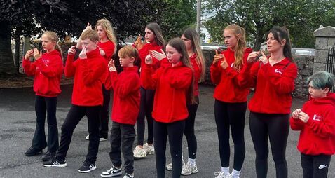 Busy summer for Athy Sing and Sign group 