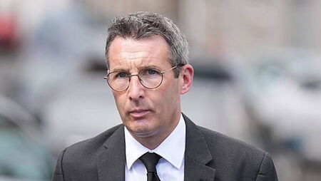 Union calls for independent expert panel to review cull of cows