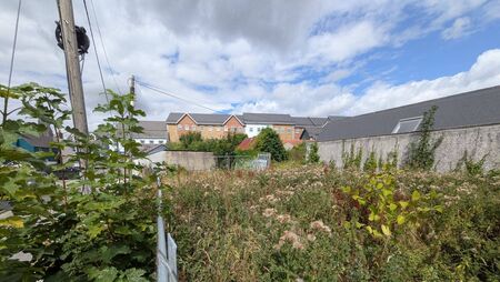 Planner's report for Kildare development overruled