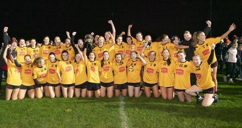 Larries, Eadestown And Sarsfields favourites for senior title 
