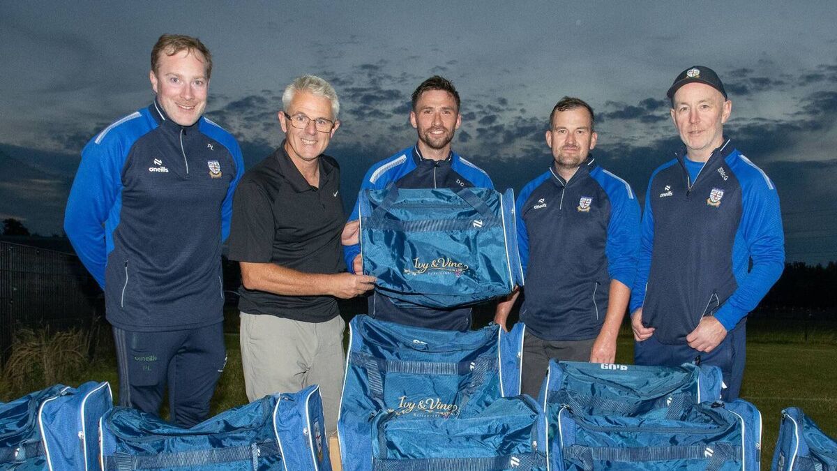 Celbridge hurlers
