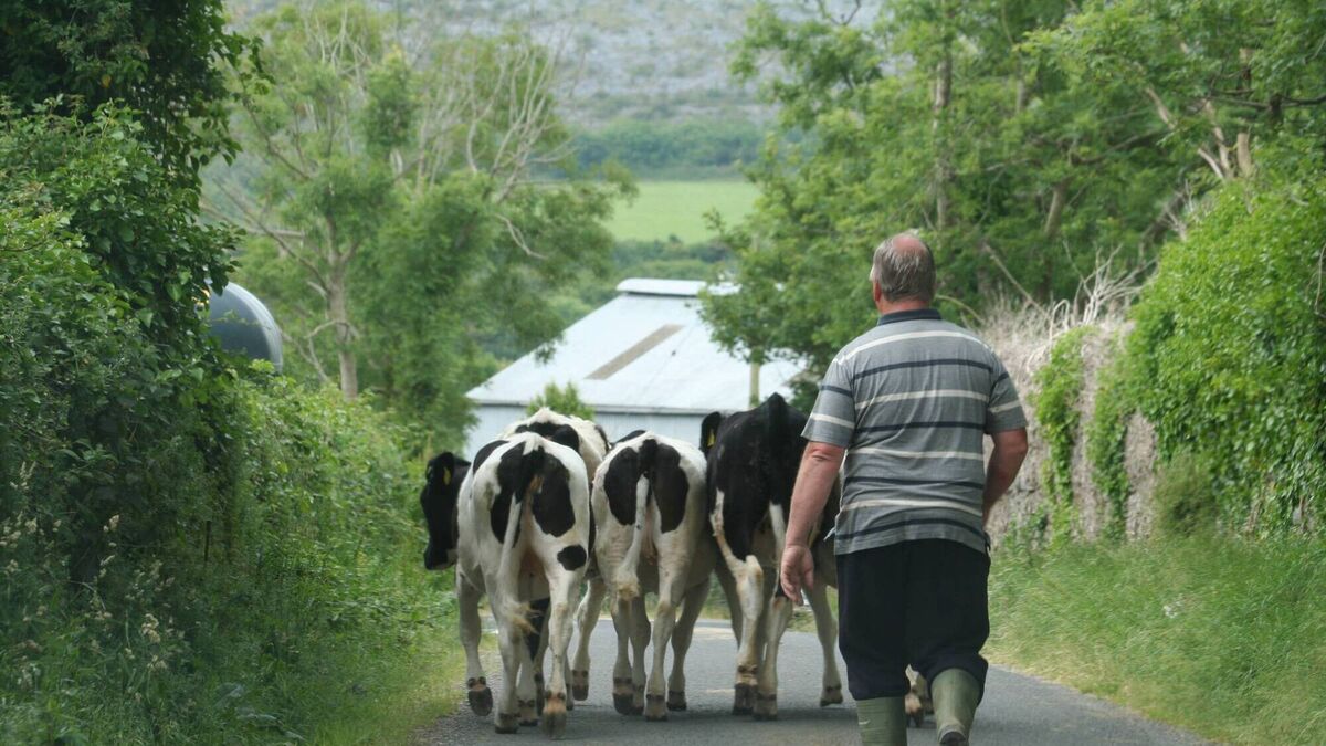 New study reveals hidden mental health toll on farm families