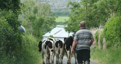 New study reveals hidden mental health toll on farm families