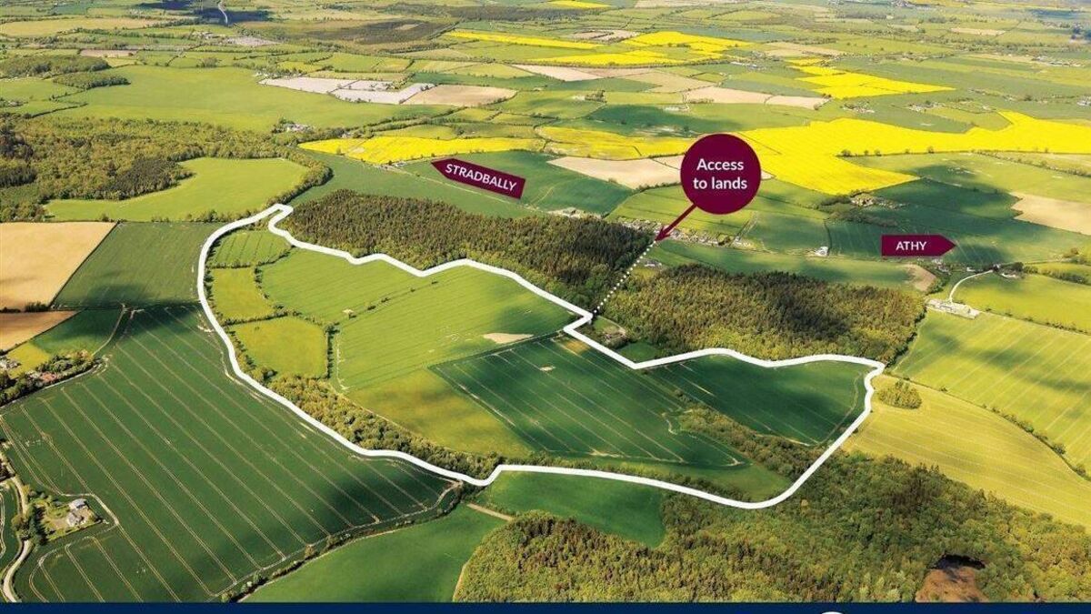 130 acres near Athy up for sale by tender