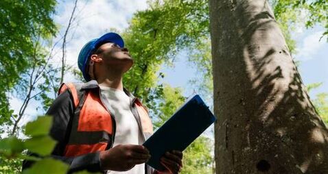 Kildare tree surgeon awarded over €11K in redundancy payment 