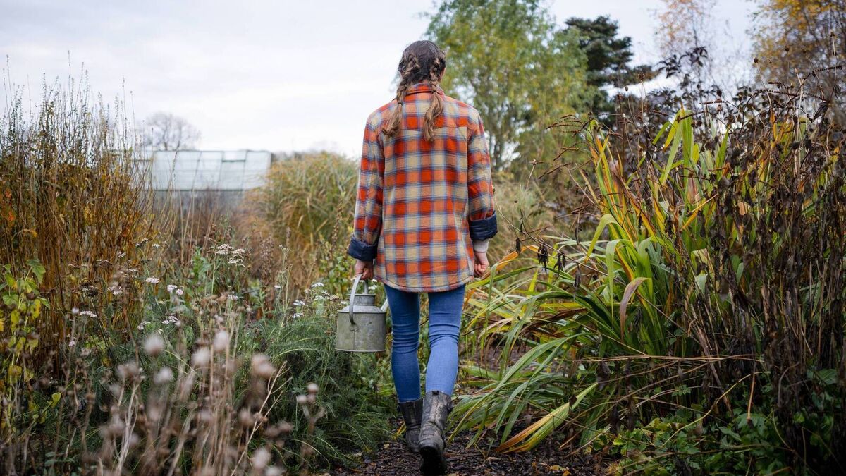 Living Greener: Forest gardens could feed communities