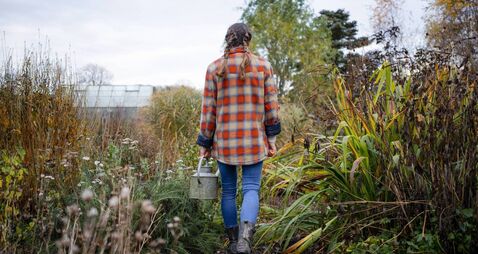 Living Greener: Forest gardens could feed communities
