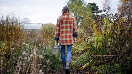 Living Greener: Forest gardens could feed communities