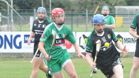 Wolfe Tones make light work of Sash