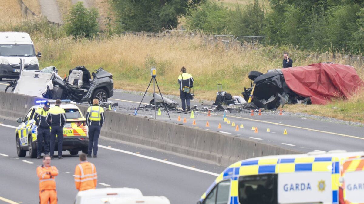 UPDATED: Five teens killed in Kildare motorway crash named locally