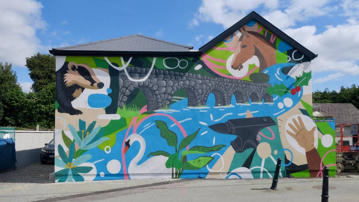Vivid new artwork in Kilcullen
