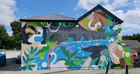 Vivid new artwork in Kilcullen