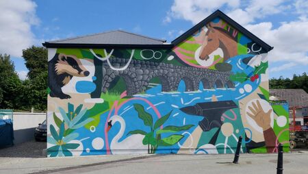 Vivid new artwork in Kilcullen