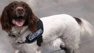 Gardaí appeal for witnesses after man (20s) found unresponsive in Cork city centre