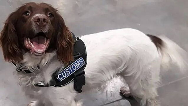 Revenue seized over €1,000 worth of contraband