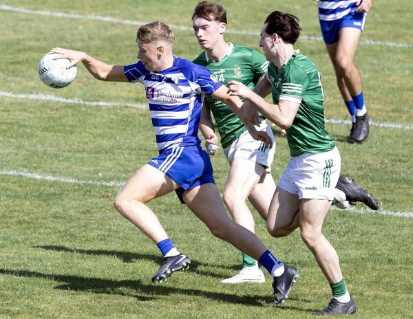 There is a repeat of the SFL Div 1 final in the opening round when Moorefield take on Championship favourites Naas Photo: Sean Brilly There is a repeat of the SFL Div 1 final in the opening round when Moorefield take on Championship favourites Naas Photo: Sean Brilly
